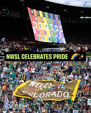 Image post by @nwsl on Instagram