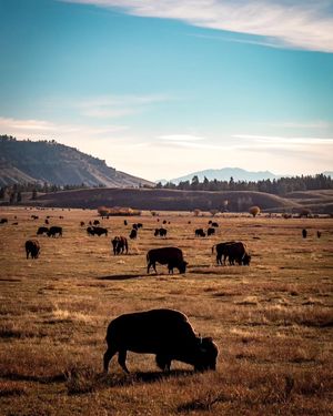 Image post by @michael_edson on Instagram