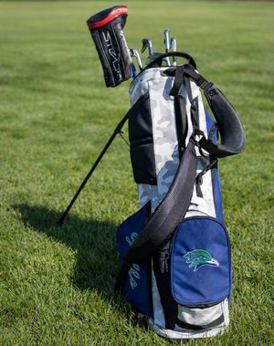 Image post by @ecgulls on Instagram