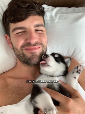 Video post by @misterpreda on TikTok
