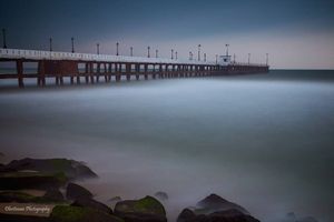 Image post by @dhritimanlahiri on Instagram