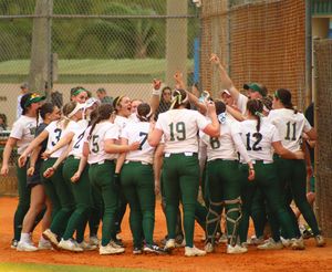 Image post by @hussonsoftball on Instagram