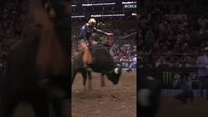 Video post by @pbr on YouTube