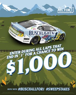 Image post by @BuschBeer on Twitter
