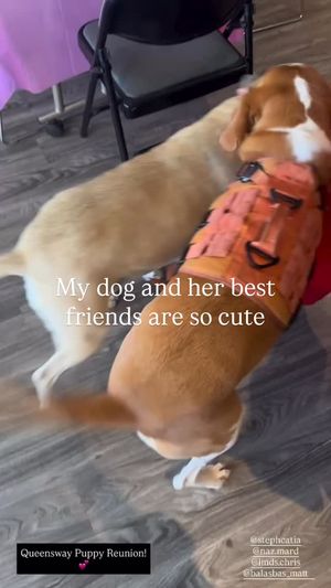 Video post by @Linds.Christopher on Facebook