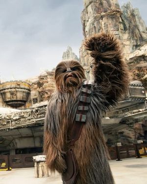 Image post by @officialdisneyauditions on Instagram
