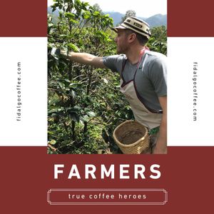 Image post by @fidalgocoffee on Instagram