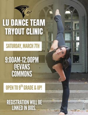 Image post by @lulionlinedance on Instagram