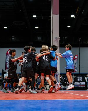 Image post by @aauvolleyball on Instagram