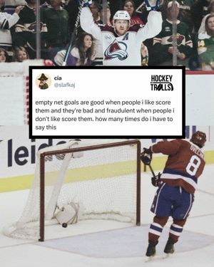 Image post by @hockeytrolls on Instagram