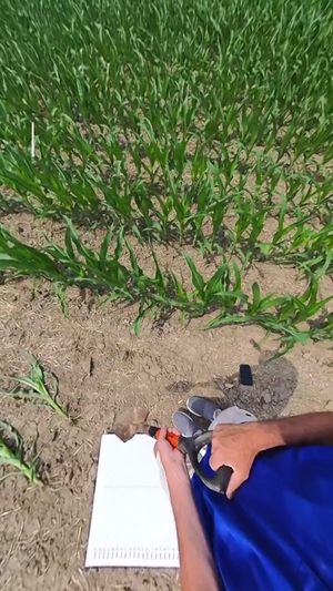 Video post by @PivotBio on Facebook