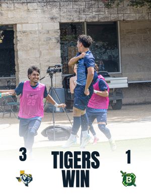 Image post by @goetbutigers on Instagram
