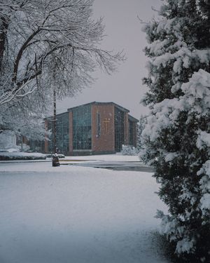 Image post by @thomasmoreky on Instagram