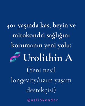 Image post by @asliokender on Instagram