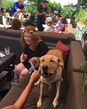 Image post by @theironhorsehotel on Instagram