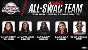 Image post by @theswac on Instagram