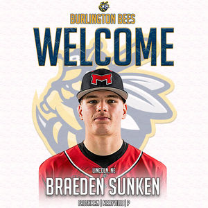 Image post by @burlington_bees on Instagram