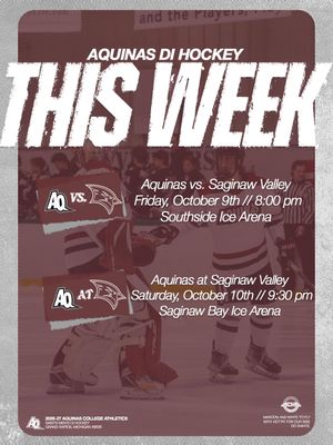 Image post by @aquinasd1hockey on Instagram