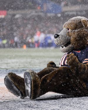 Image post by @therealstaley on Instagram