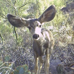 Image post by @nationalparkservice on Instagram