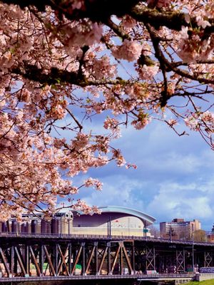 Image post by @moda_center on Instagram