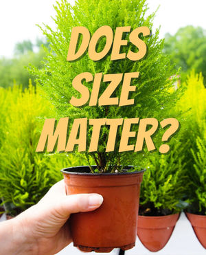Image post by @ahs_gardening on Instagram