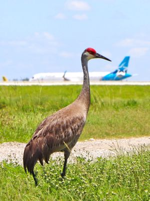 Image post by @flymco on Instagram