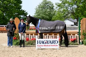 Image post by @kyhorseshows on Instagram