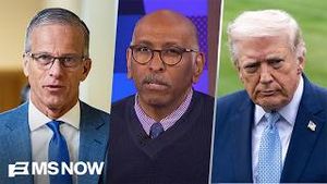 Video post by @msnbc on YouTube