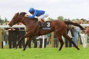 Image post by @godolphin on Instagram