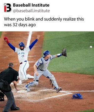 Image post by @baseball.institute on Instagram