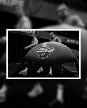 Image post by @kodiak_creative on Instagram