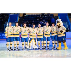 Image post by @lakestatehockey on Instagram