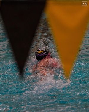 Image post by @wyo_swim_dive on Instagram