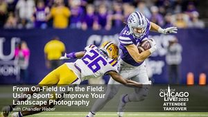 Image post by @chandlerwebercreative on Instagram