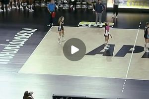Image post by @ospreysvb on Instagram