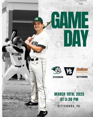 Image post by @stevensonbsb on Instagram