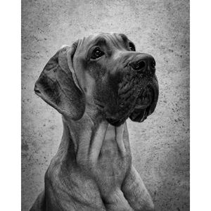 Image post by @jessebrunerphoto on Instagram