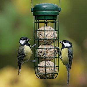 Image post by @rspb on Instagram