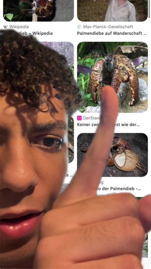 Video post by @toggo on TikTok