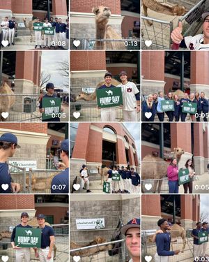 Image post by @auburntigers on Instagram