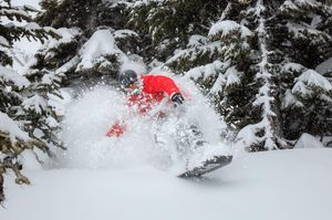 Image post by @whistlerblackcomb on Instagram