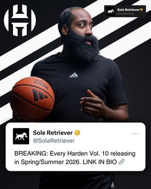 Image post by @soleretriever on Instagram