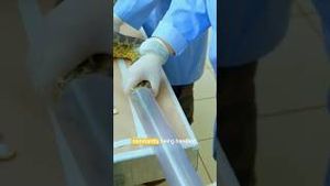 Video post by @curiositystreaming on YouTube