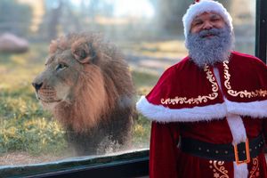 Image post by @bhamzoo on Instagram