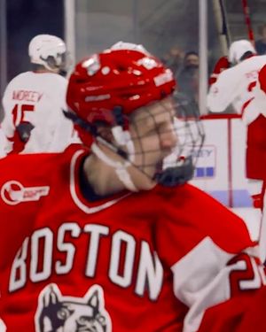 Image post by @everythingcollegehockey on Instagram