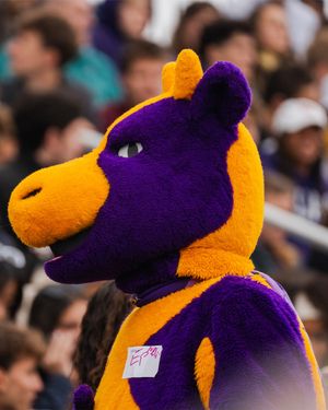 Image post by @ephsports on Instagram