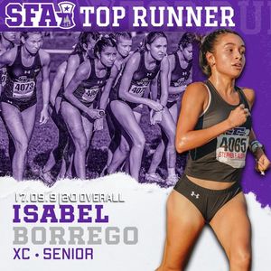 Image post by @SFA_TFXC on Twitter