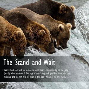 Image post by @nationalparkservice on Instagram