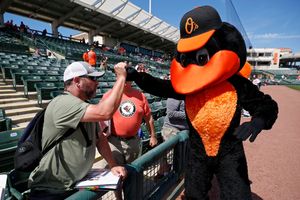 Image post by @OrioleBird on Twitter